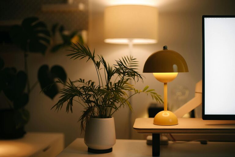 Tips for Creating a Cozy and Functional Home Workspace
